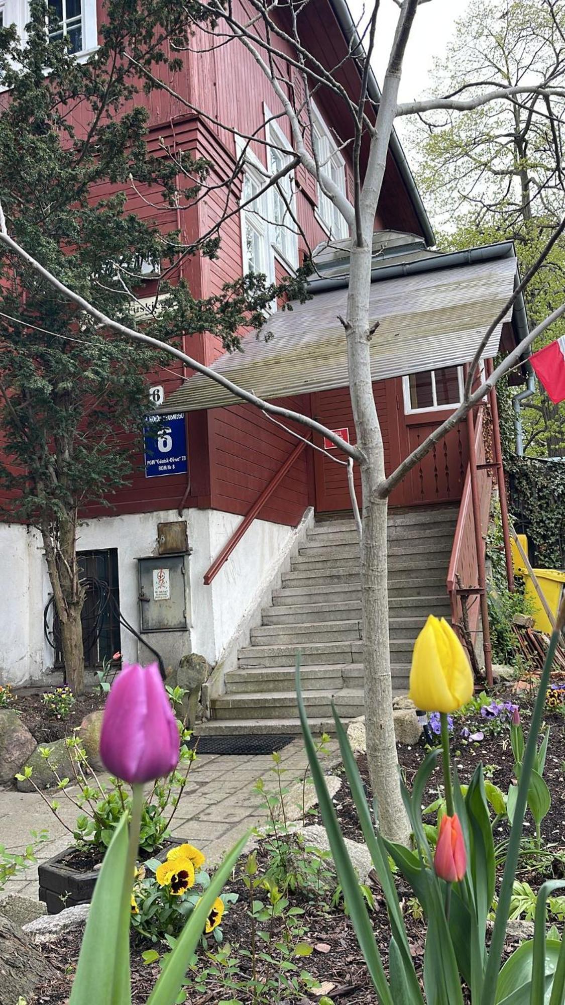 Villa Rekin Gdansk Exterior photo