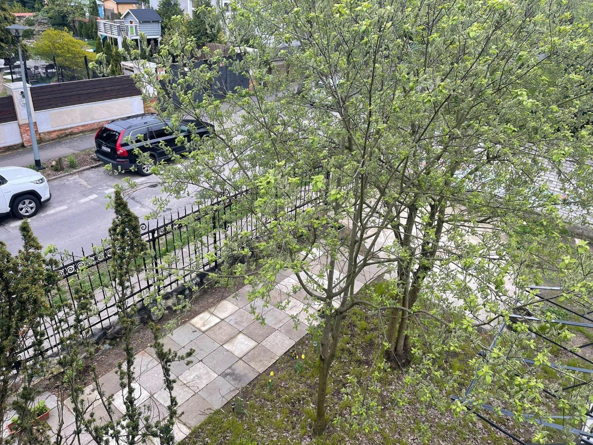 Villa Rekin Gdansk Exterior photo